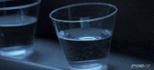 Water Glass Shimmy